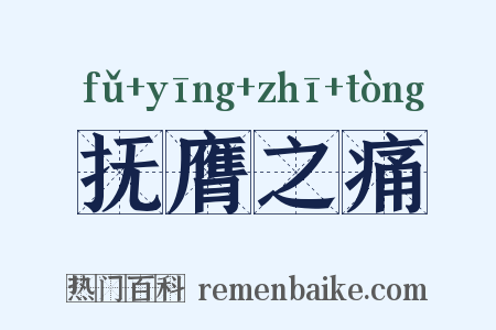 抚膺之痛是什么意思的图片